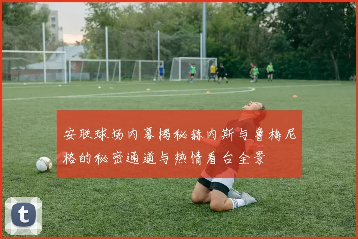 安联球场内幕揭秘赫内斯与鲁梅尼格的秘密通道与热情看台全景